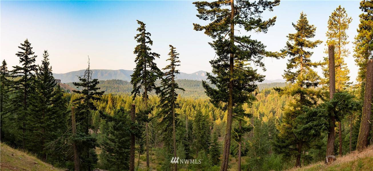 Cle Elum, WA 98922,24 Kokanee LOOP