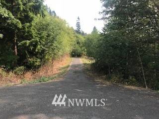 Cathlamet, WA 98612,0 Lot 2 Twin Springs DR