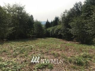 Cathlamet, WA 98612,0 Lot 2 Twin Springs DR