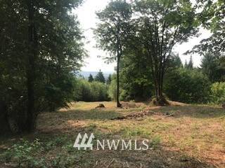 Cathlamet, WA 98612,0 Lot 3 Twin Springs DR