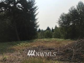 Cathlamet, WA 98612,0 Lot 1 Twin Springs DR