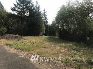 Cathlamet, WA 98612,0 Lot 1 Twin Springs DR