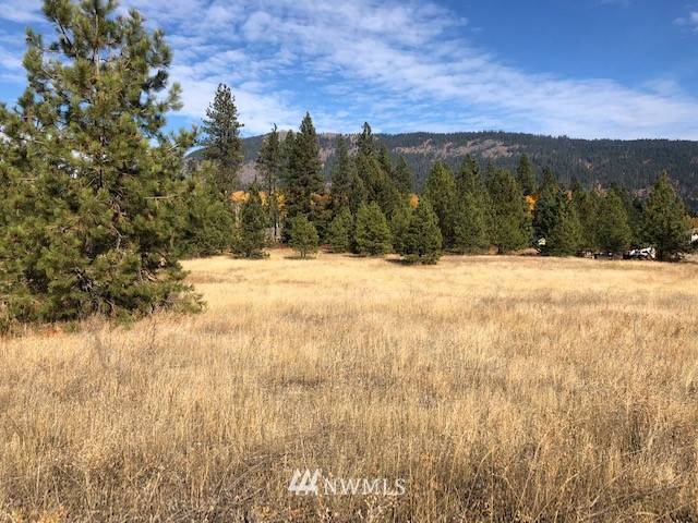 Cle Elum, WA 98922,0 Lot 17B Old Cedars RD