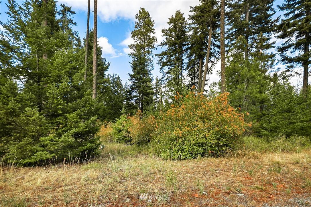 Cle Elum, WA 98922,1280 Snowberry LOOP