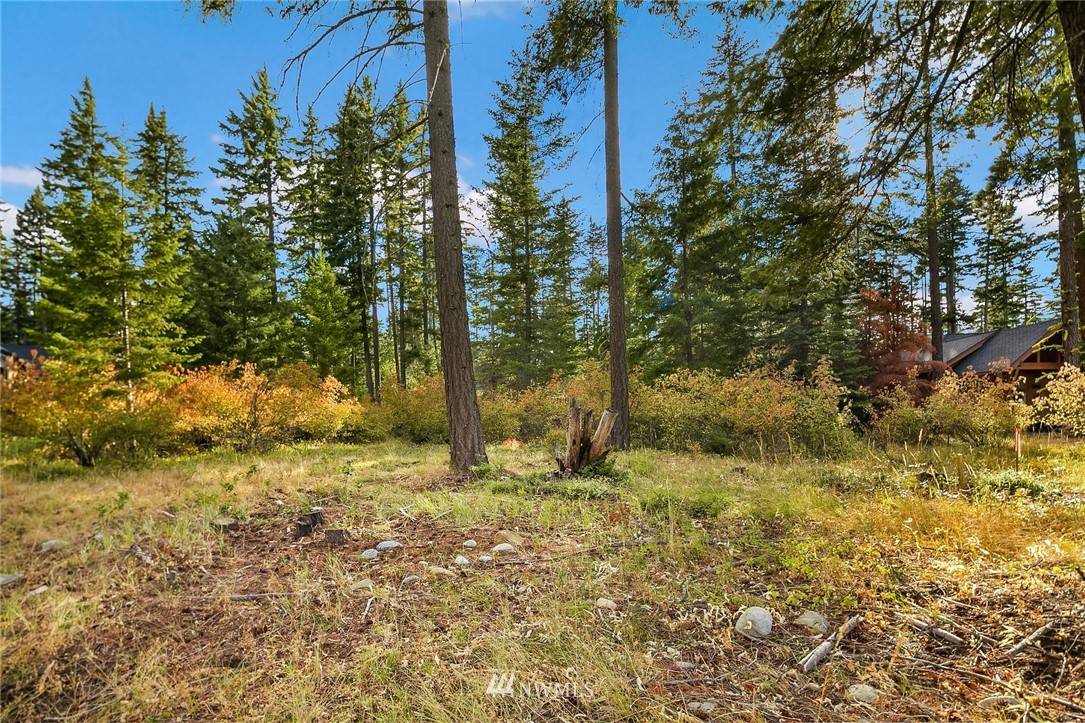 Cle Elum, WA 98922,1280 Snowberry LOOP