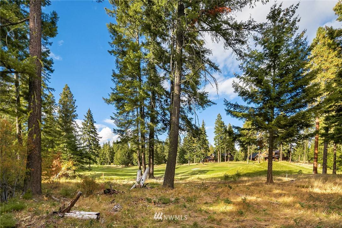 Cle Elum, WA 98922,1280 Snowberry LOOP