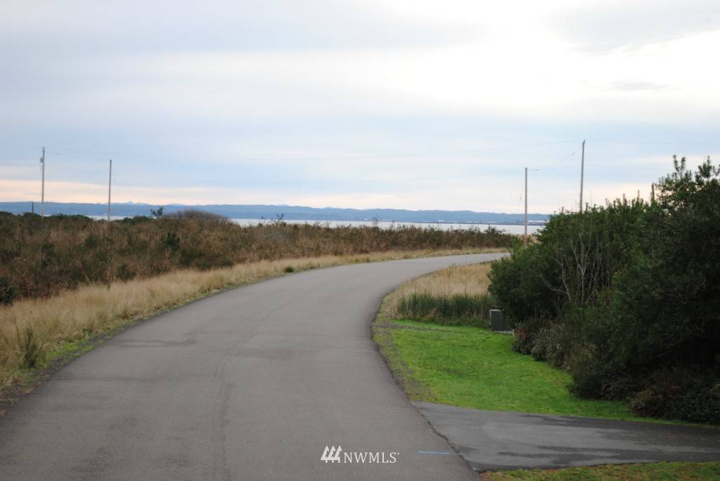 Ocean Shores, WA 98569,1017 Jetty View AVE