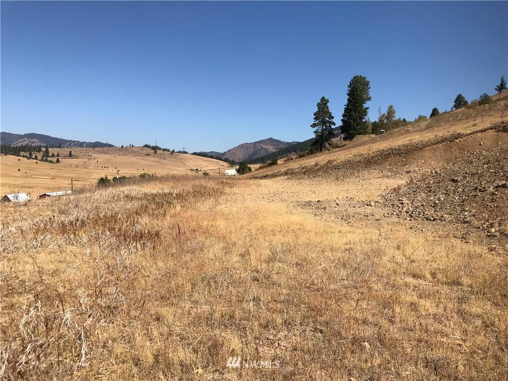 Cle Elum, WA 98922,0 Lot 4 Bettas Road