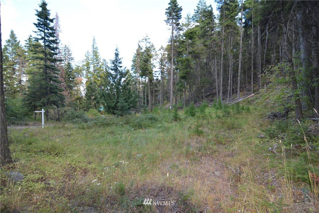 Cle Elum, WA 98922,0 Lot 44 Two Springs RD