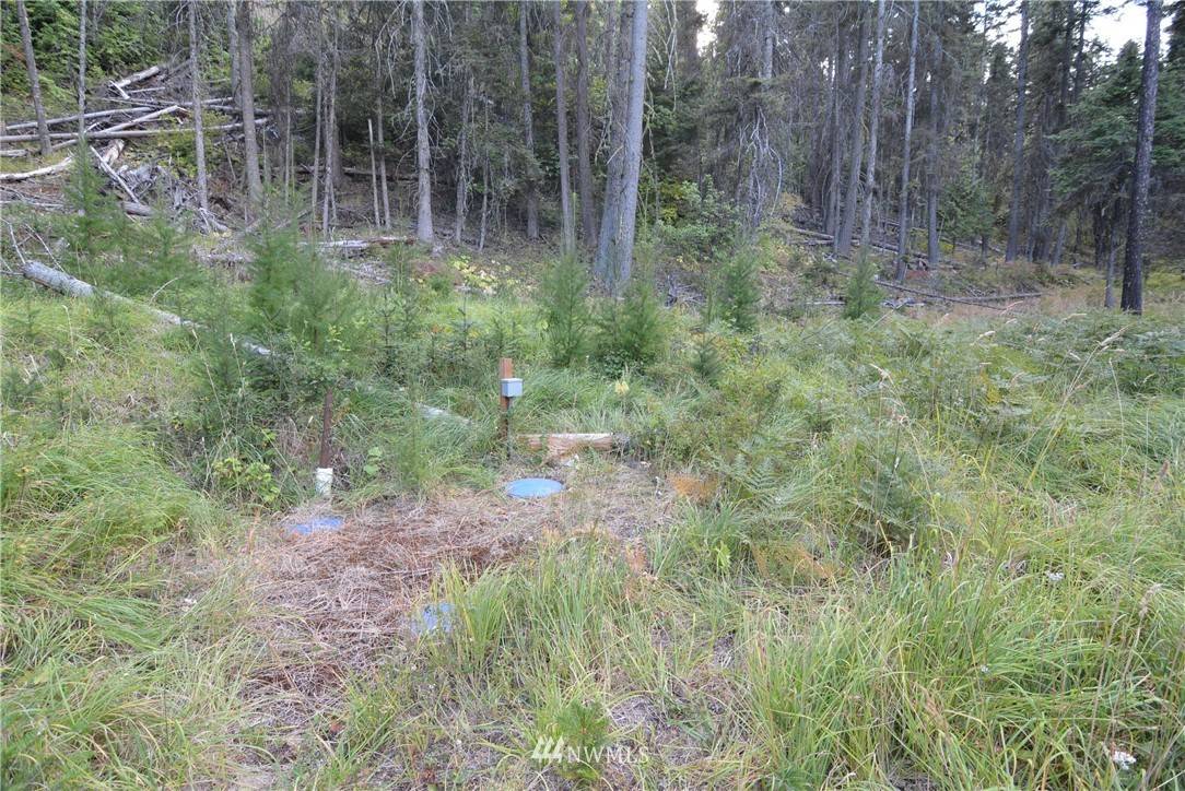 Cle Elum, WA 98922,0 Lot 44 Two Springs RD