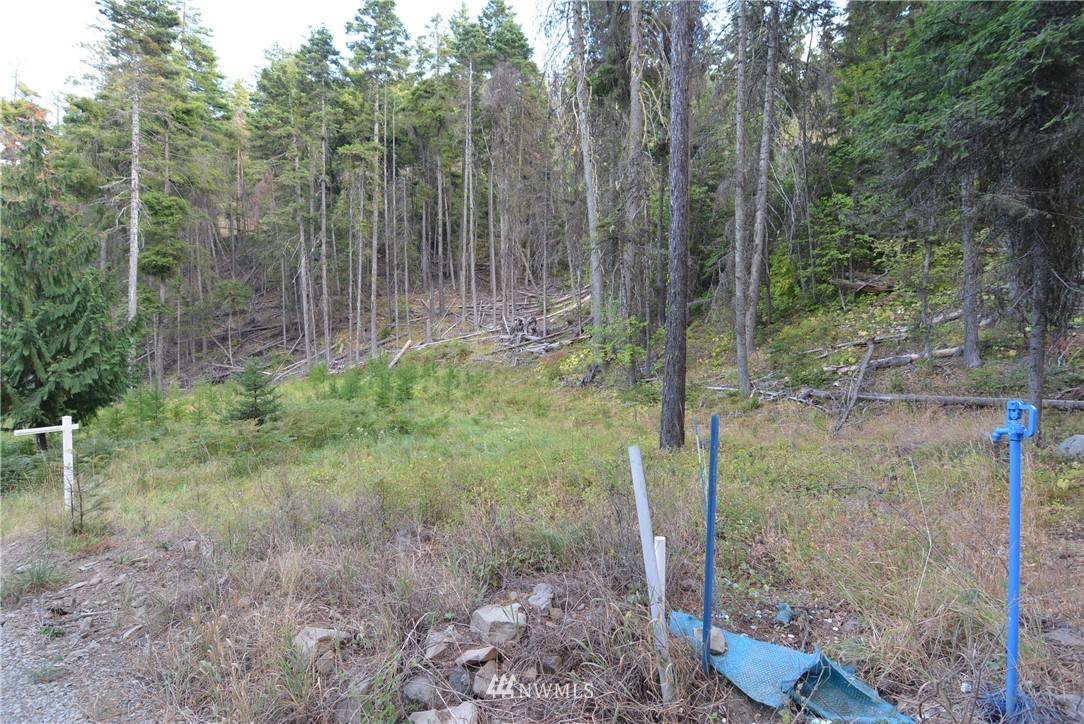 Cle Elum, WA 98922,0 Lot 44 Two Springs RD