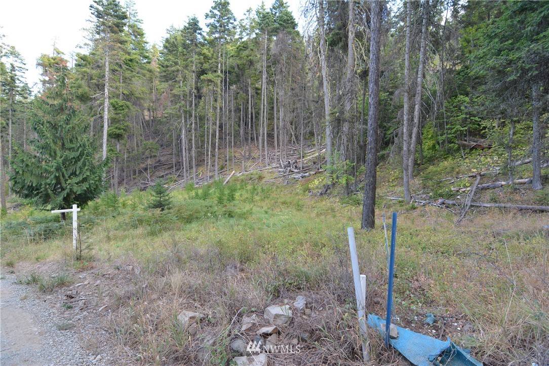 Cle Elum, WA 98922,0 Lot 44 Two Springs RD