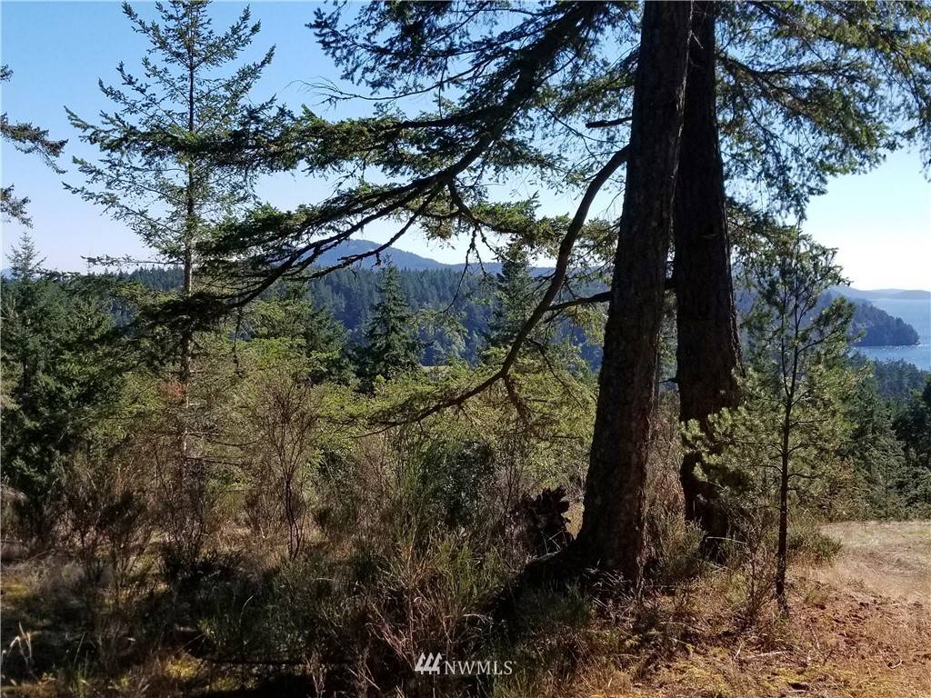 Orcas Island, WA 98279,538 A & B Olga Cemetery RD