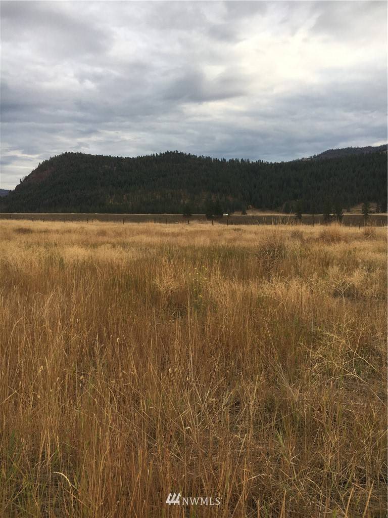 Tonasket, WA 98855,0 TBD Aeneas Valley