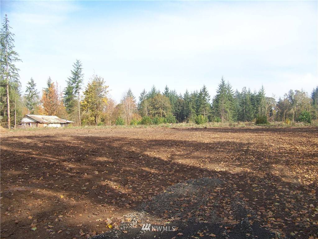 Toledo, WA 98591,0 Sareault RD