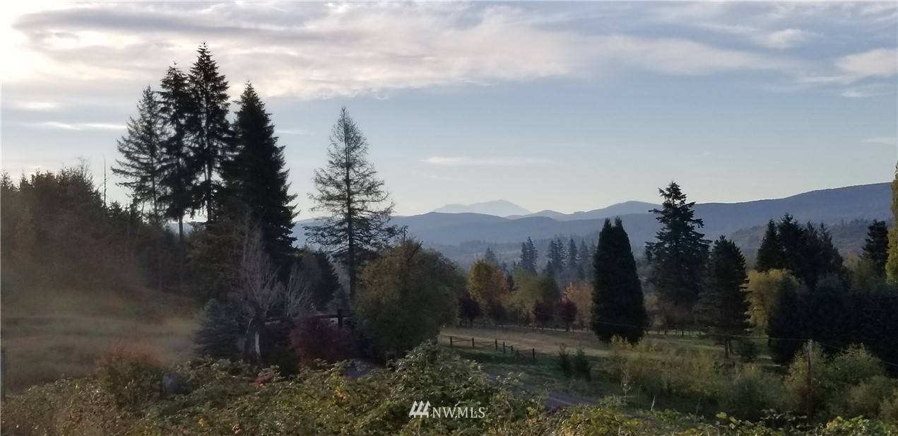 Mossyrock, WA 98564,151 Pleasant Hill DR