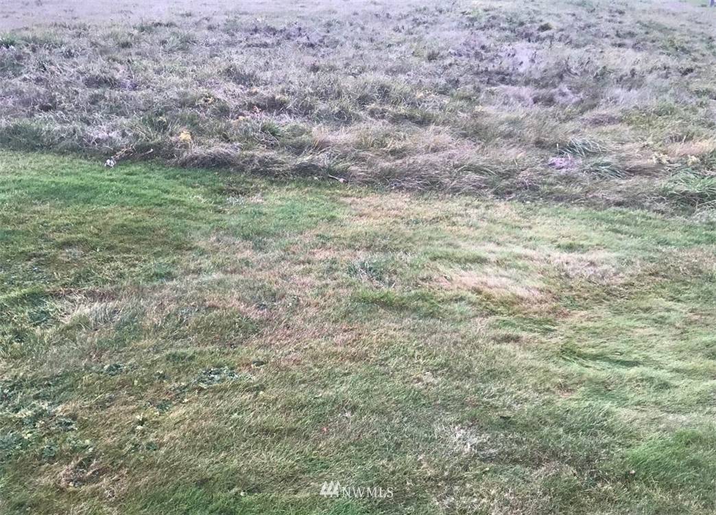 Bellingham, WA 98226,3 Cordata Pkwy