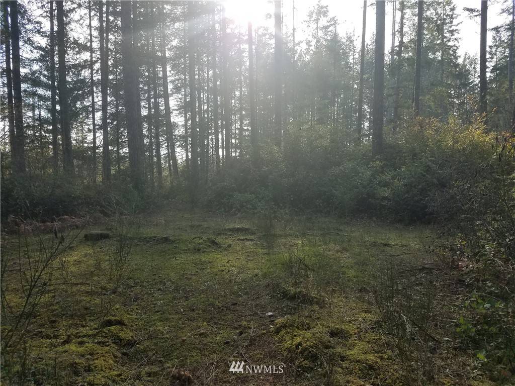 Belfair, WA 98528,2 Coon DR S