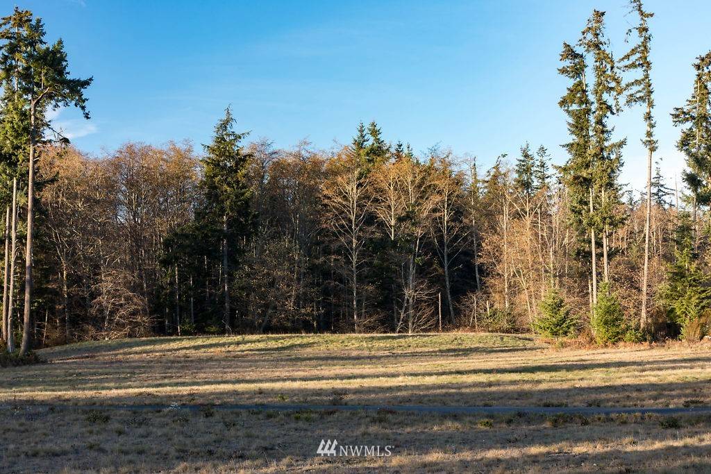 Greenbank, WA 98253,0 Lot 1 Pacific Dogwood