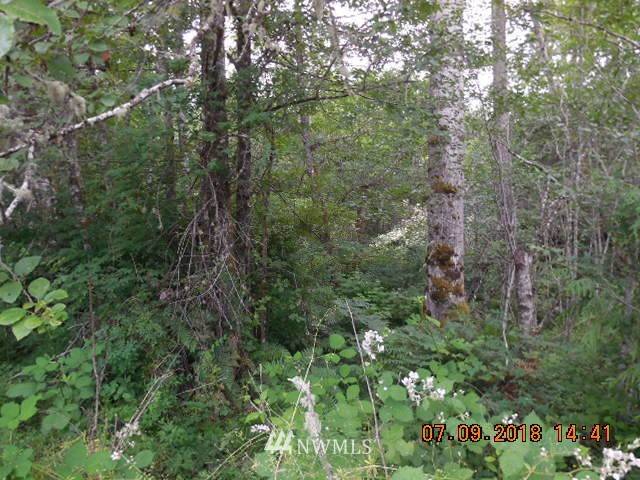 Port Angeles, WA 98363,0 Harry Brown RD