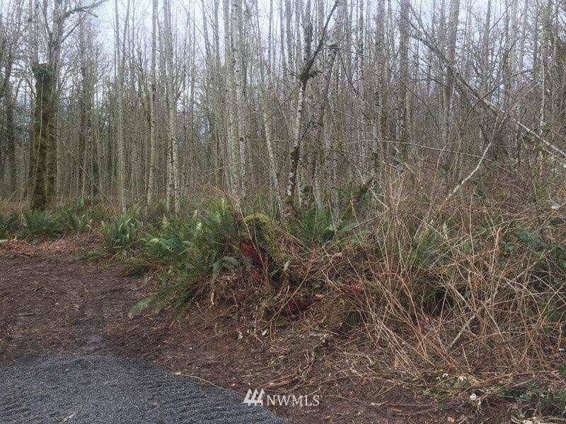 Mossyrock, WA 98564,0 Fawnhill DR