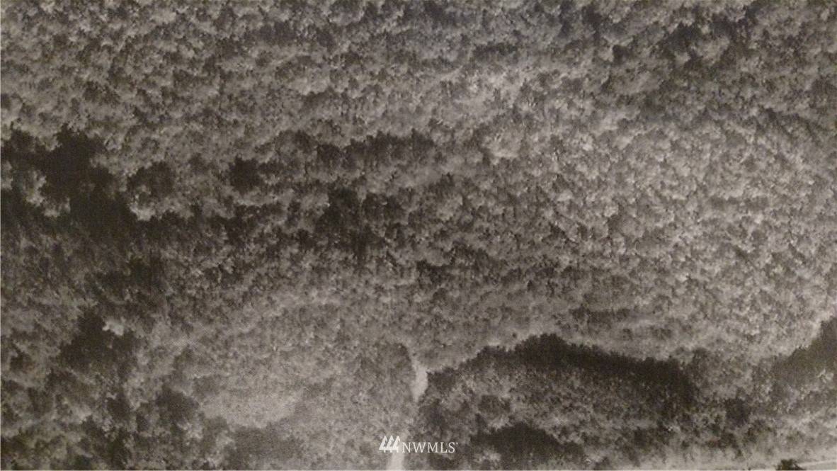 Forks, WA 98331,168999 Hwy 101