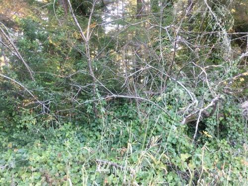 Ocean Park, WA 98640,1800 200th LN