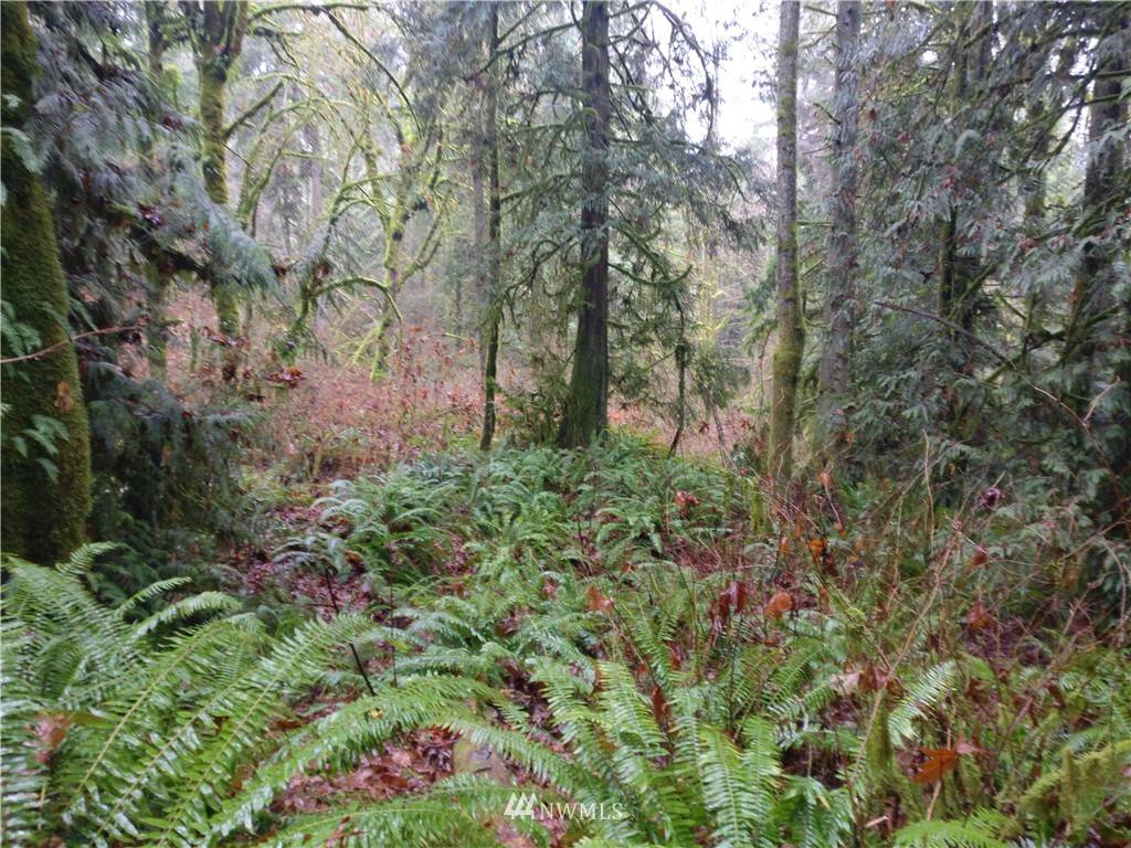 Duvall, WA 98019,15326 294th AVE NE