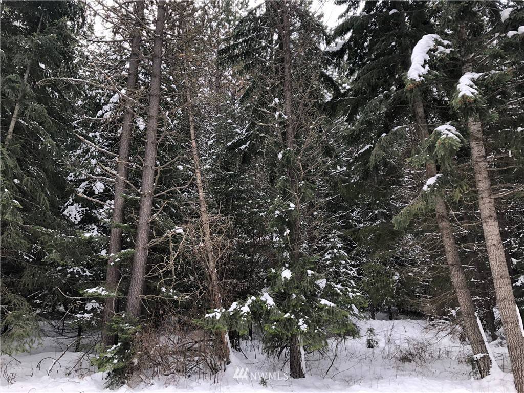 Cle Elum, WA 98922,0 Lot 7 Nelson Siding Road