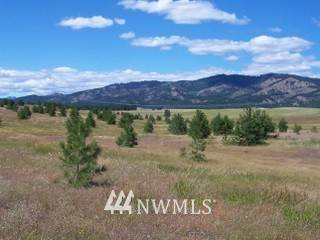 Cle Elum, WA 98922,805 (Lot 1) Leo LN