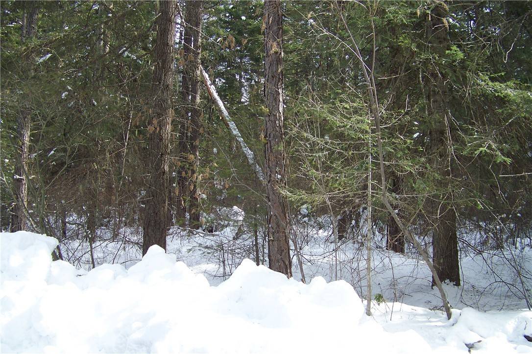 Cle Elum, WA 98922,0 Lot 20 Big Horn WAY