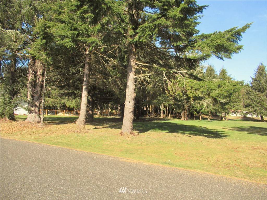 Hoquiam, WA 98550,0 Shamrock