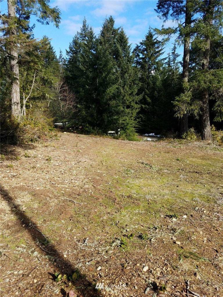 Lilliwaup, WA 98555,31 N Salal LN