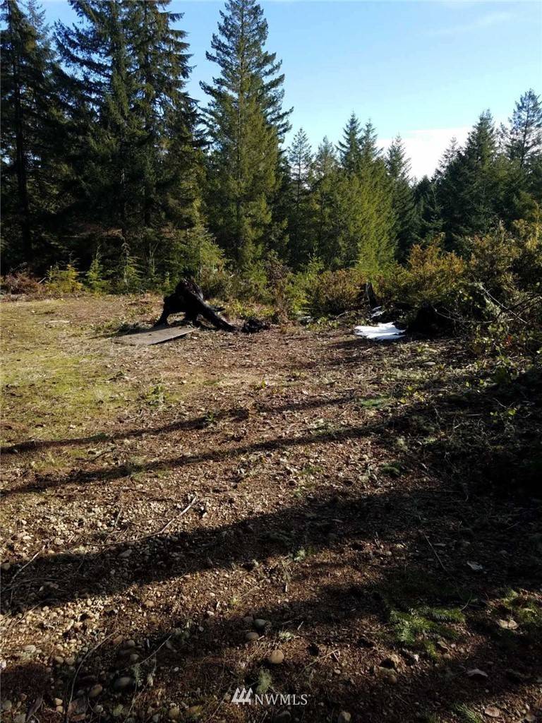 Lilliwaup, WA 98555,31 N Salal LN