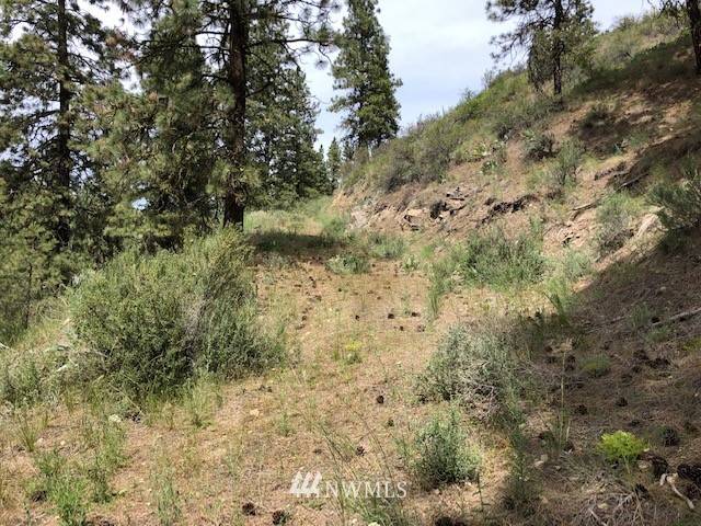 Manson, WA 98831,0 Lot 1 Cooper Gulch RD