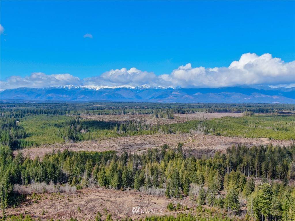 Belfair, WA 98528,5430 Bear Creek-Dewatto RD