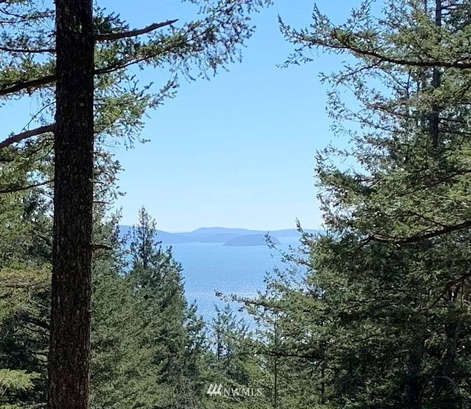 Orcas Island, WA 98245,15 Tomihi DR