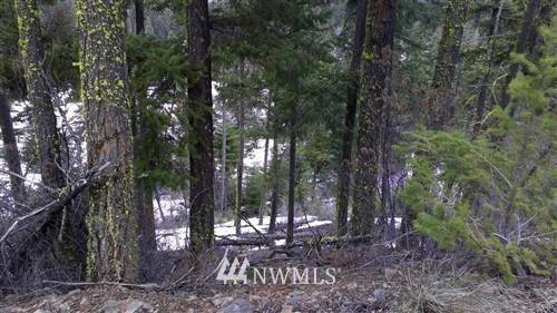 Cle Elum, WA 98922,0 XXX Anders DR