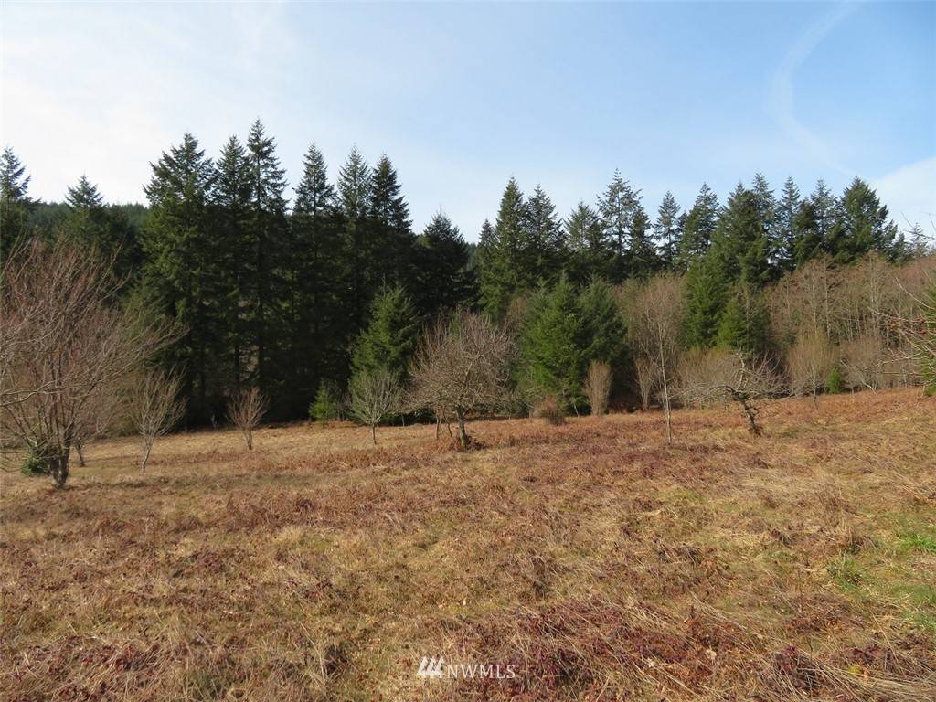 Longview, WA 98632,0 Lot 3 Coal Creek RD