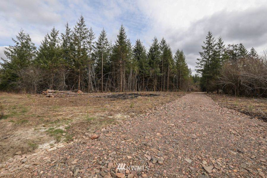 Winlock, WA 98596,0 Tract 6 Bremgartner RD