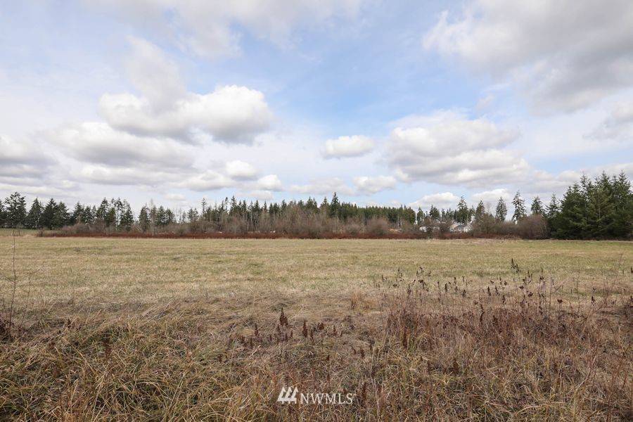 Winlock, WA 98596,0 Tract 5 Bremgartner RD