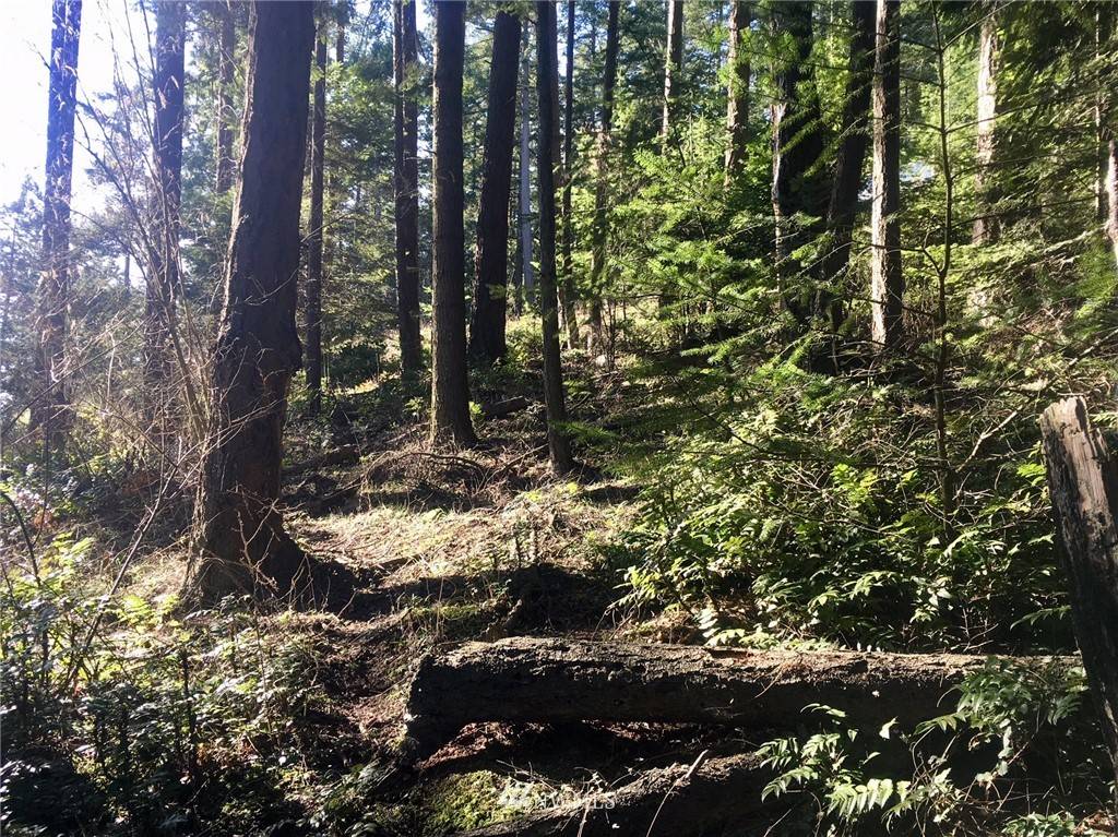 Decatur Island, WA 98221,47 Decatur Shores I