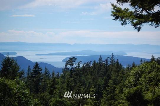 Orcas Island, WA 98245,0 Lot 59 Lot 59 Fern Ridge RD