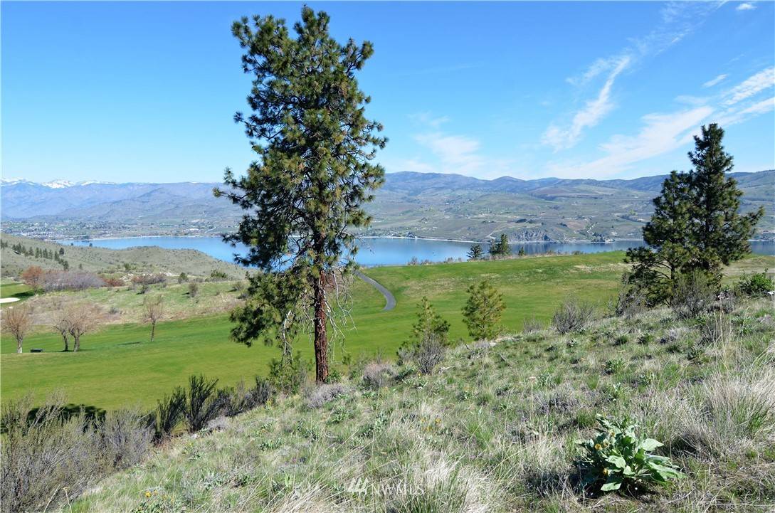 Chelan, WA 98816,238 Bandera WAY