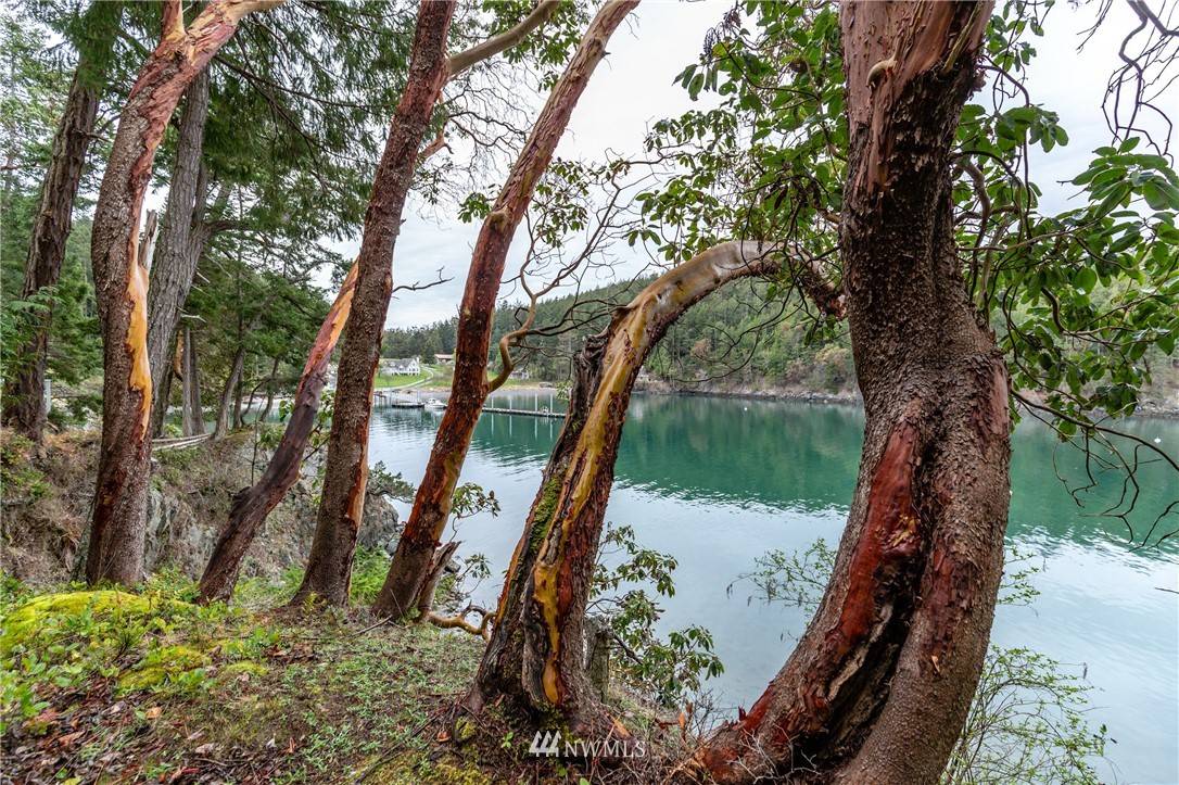 Decatur Island, WA 98221,0 East Cove RD