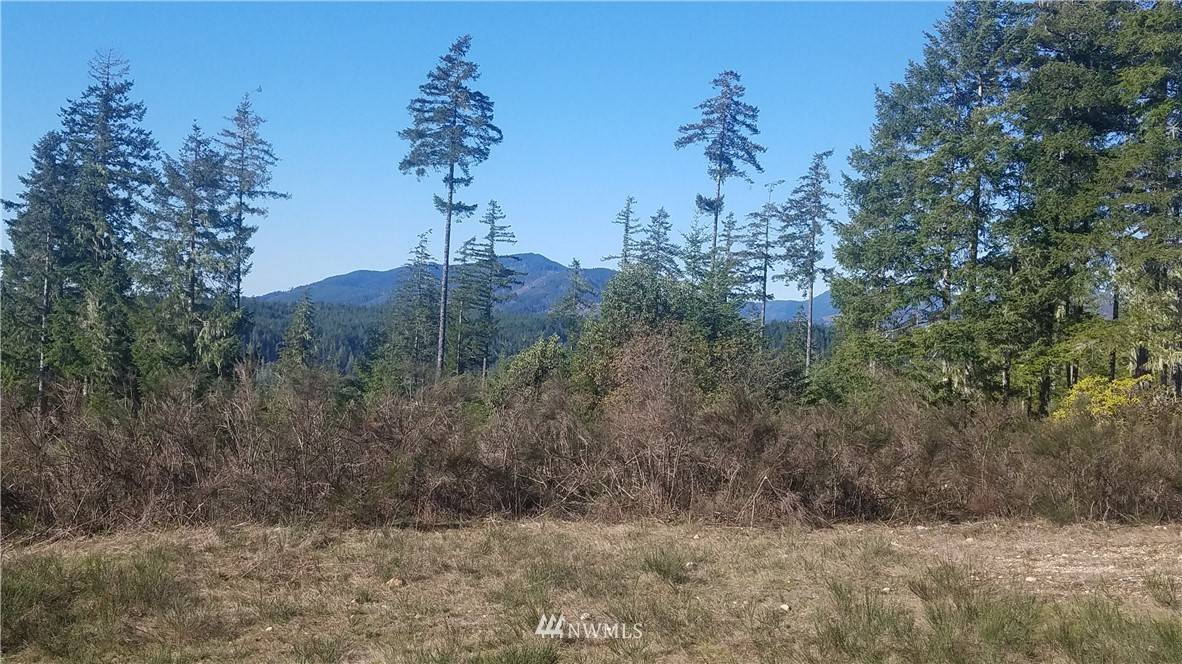 Lilliwaup, WA 98555,0 N Shar LN