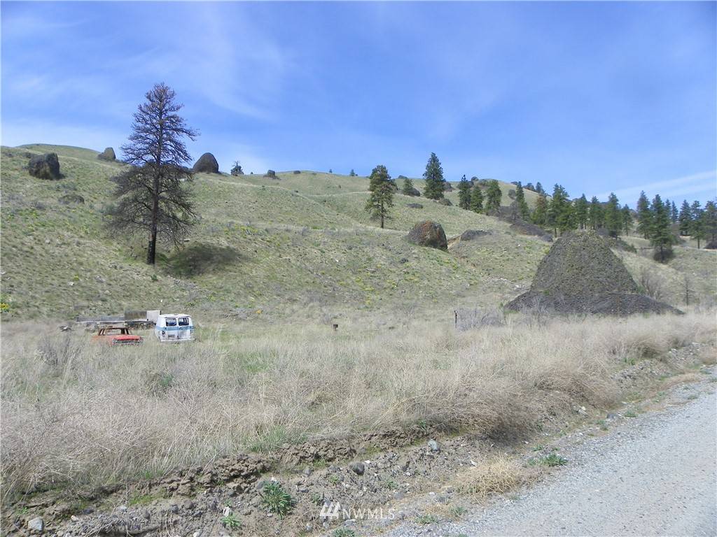 Orondo, WA 98843,0 nna Springs Canyon RD