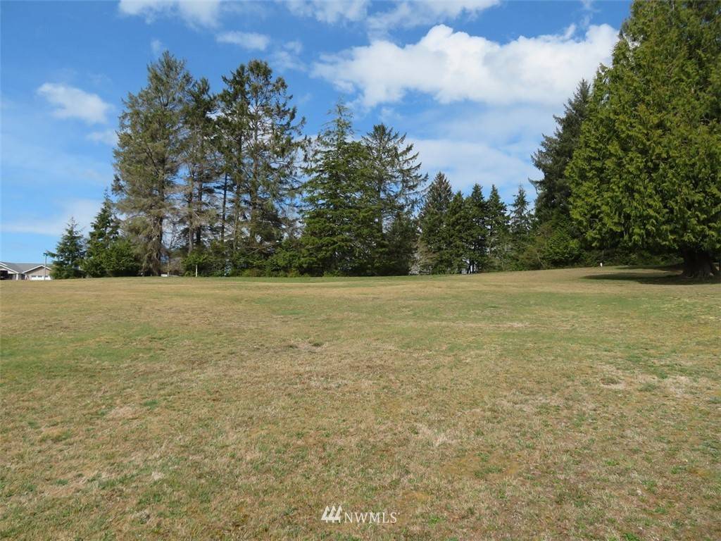 South Bend, WA 98586,0 Alder LN