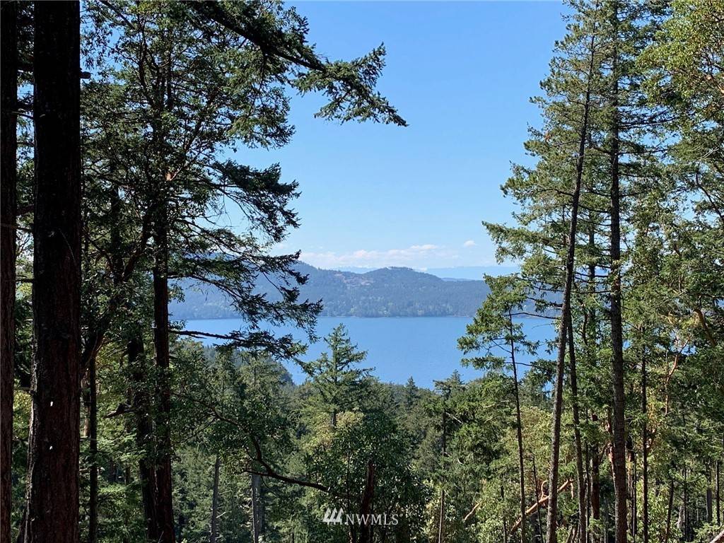 Orcas Island, WA 98245,600 Helen Loggie LN