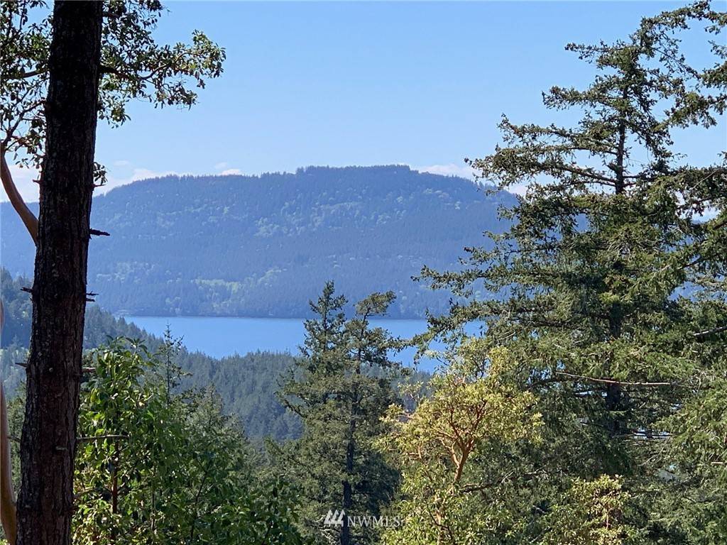 Orcas Island, WA 98245,600 Helen Loggie LN